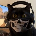 Profile photo of Anarchy silva