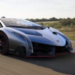 Profile photo of ledung